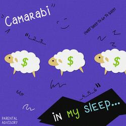 In My Sleep
