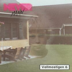 Video Home System (Interlude)