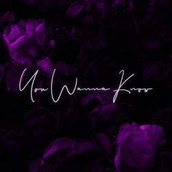 You Wanna Know (feat. Joey Vantes)