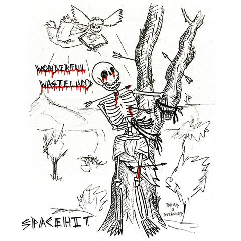 Wonderful Wasteland