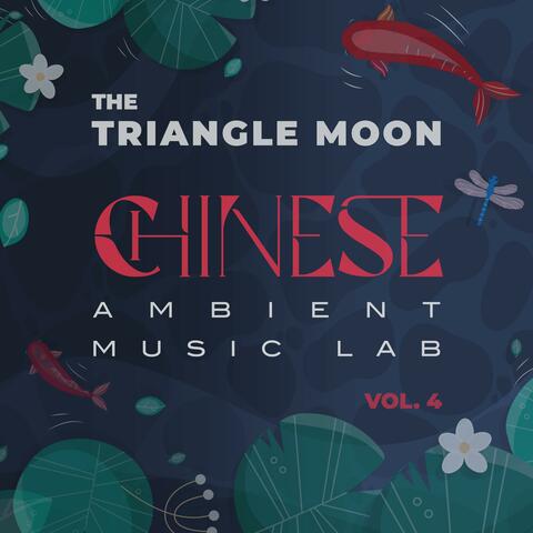 Chinese Ambient Music Lab, Vol. 4