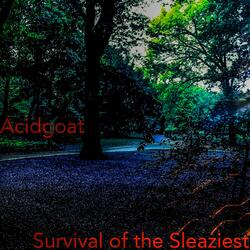 Survival of the Sleaziest