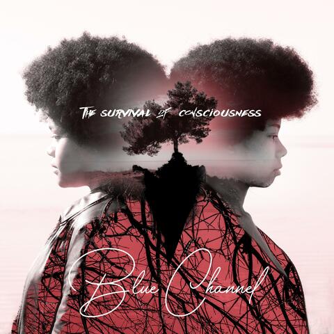 The Survival of consciousness