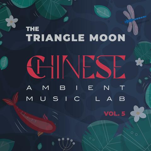 Chinese Ambient Music Lab, Vol. 5