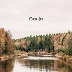 Gauja