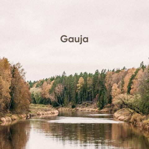 Gauja