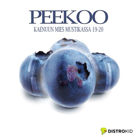 kaenuun mies mustikassa 19-20