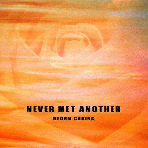 Never Met Another