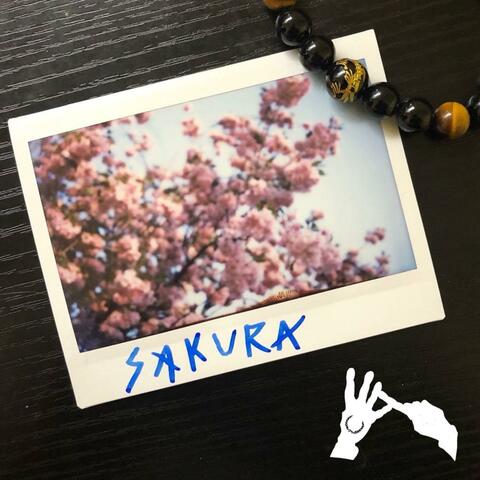 Sakura