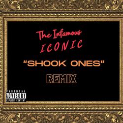 Shook Ones