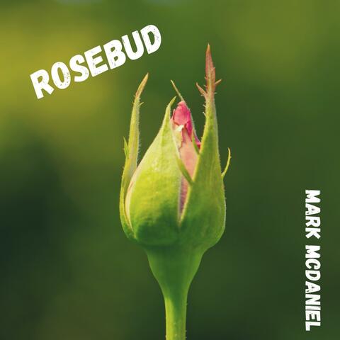Rosebud (Remaster 2020)