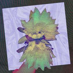 Sotaque (feat. Rodrigo Caê)