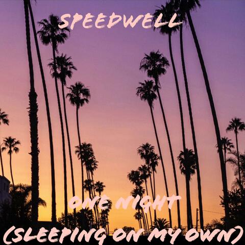 Speedwell