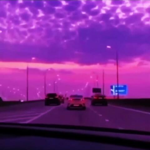 Driving to die
