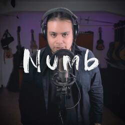 Numb (feat. RememberSeptember)