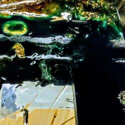 Still Fearing You Never Lived