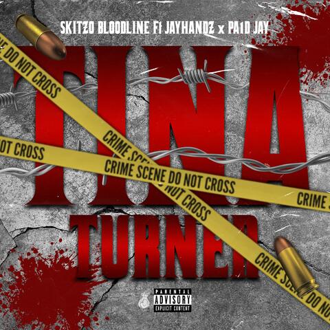 Tina Turner (feat. JayHandz & Pa1d Jay)