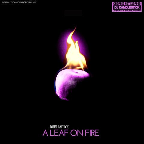 A Leaf on Fire (ChopNotSlop Remix)