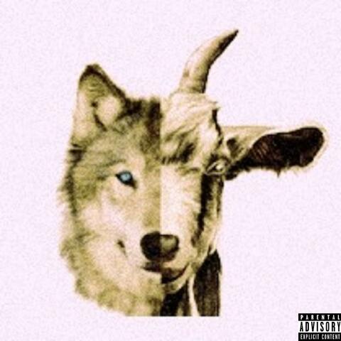 GOAT TALK