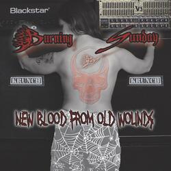 Vain Search... for Eternal Youth II