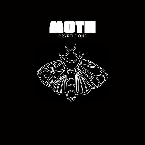 Moth (Live Fingerdrumming Performance)