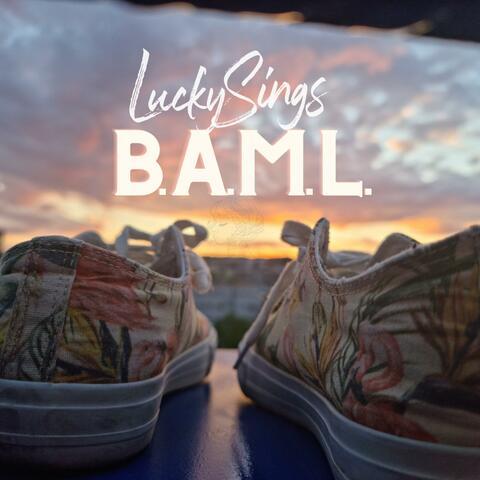 B.A.M.L. (Been A Minute Long)