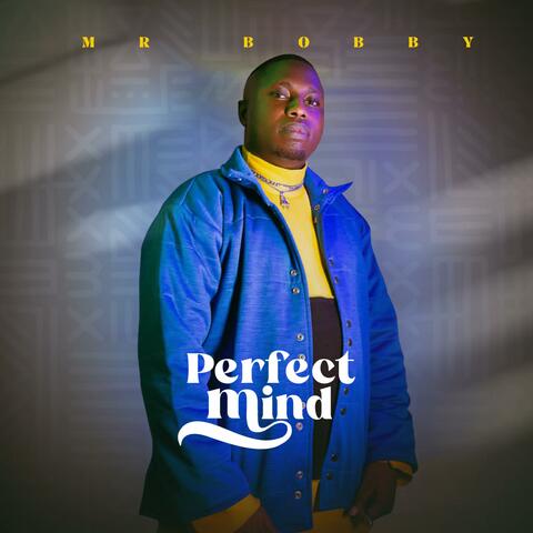 Perfect Mind
