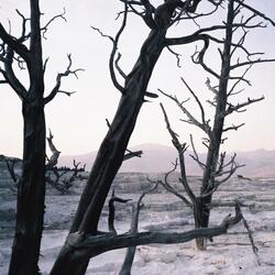 Pulling Me Away, From You. (feat. Mitchel Dae)