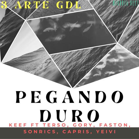 Pegando duro (feat. Gori, Terso, Capris, Yeivi, Sonrics & Faston)