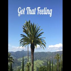 Got That Feeling (feat. Cat Parr)