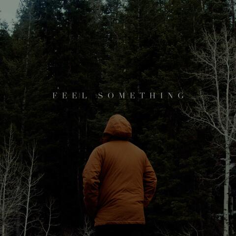 FEEL SOMETHING