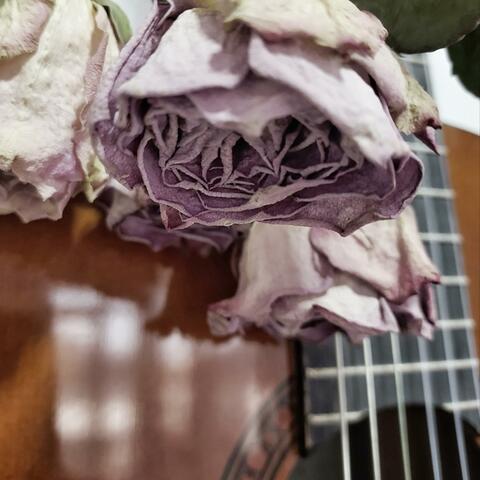 Scent