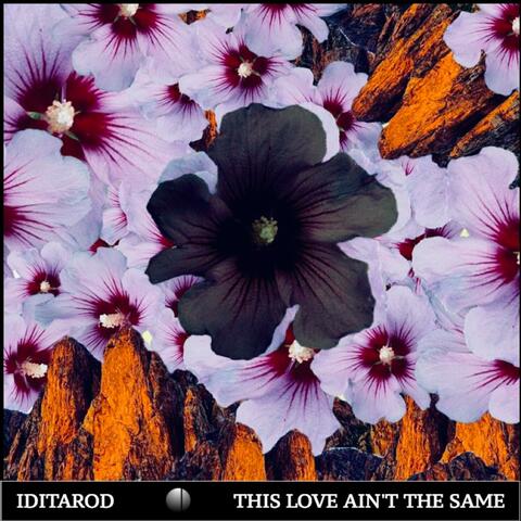 This Love Ain't the Same