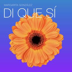 DI Que Si