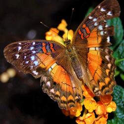 Spirit We Call In Our Weakness (feat. Claire Tabraham)