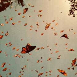 floating