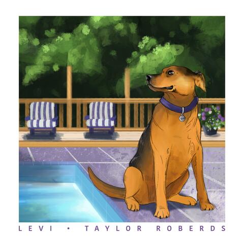 Levi