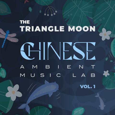 Chinese Ambient Music Lab, Vol. 1