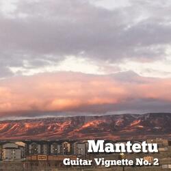 Guitar Vignette No. 2