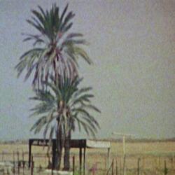 New Smoke (for Organ)