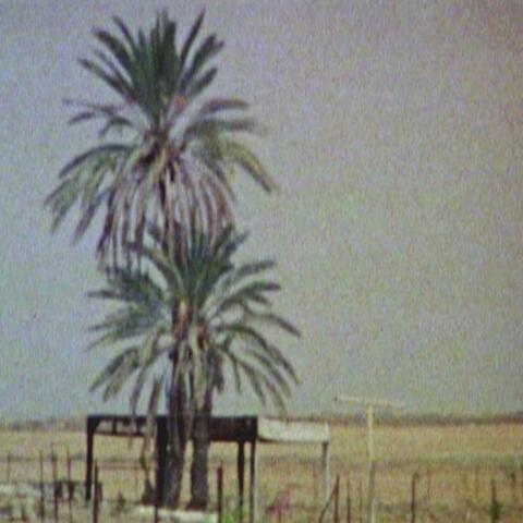 Tres Warren, JH Burch