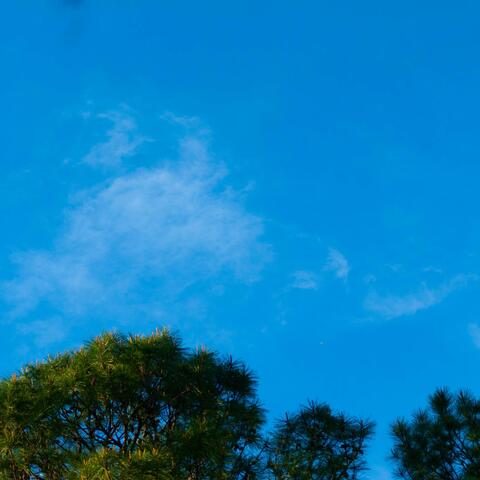 Aura (feat. Valious)