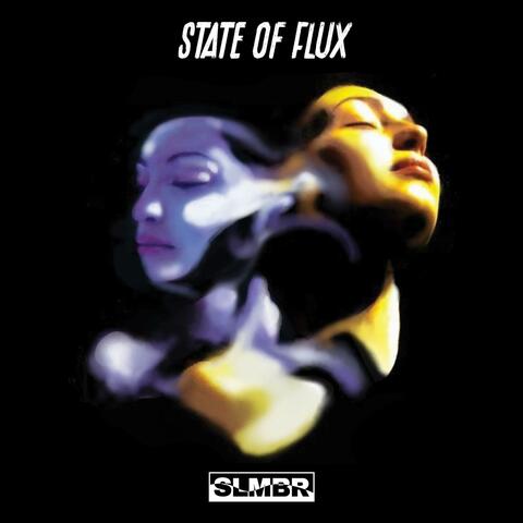 State of Flux