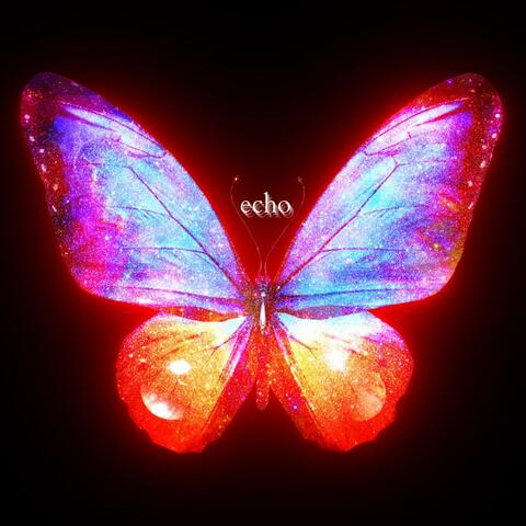 Echo
