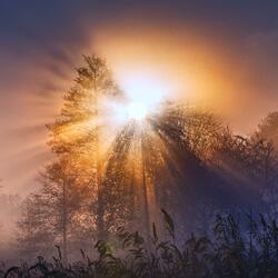 Ancient Spirit