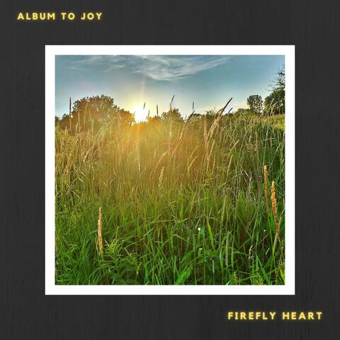 Album to Joy