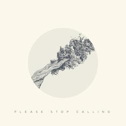 Please Stop Calling (feat. Jesse Buckley)