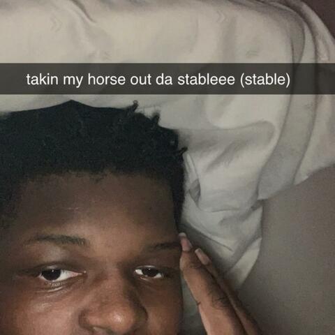 Stable