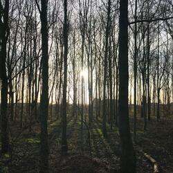 I Know, I Know, I Know