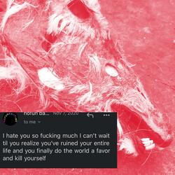 i hate you so fucking much i can't wait til you realize you've ruined your entire life and finally do the world a favor and kill yourself